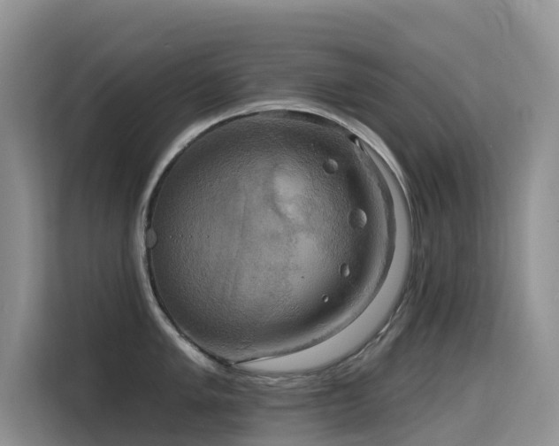 X0000114721005200910211343