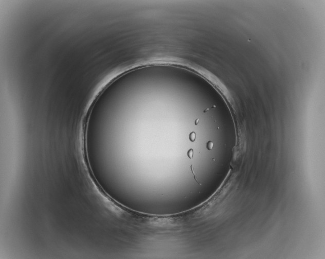 X0000114721006200910211343