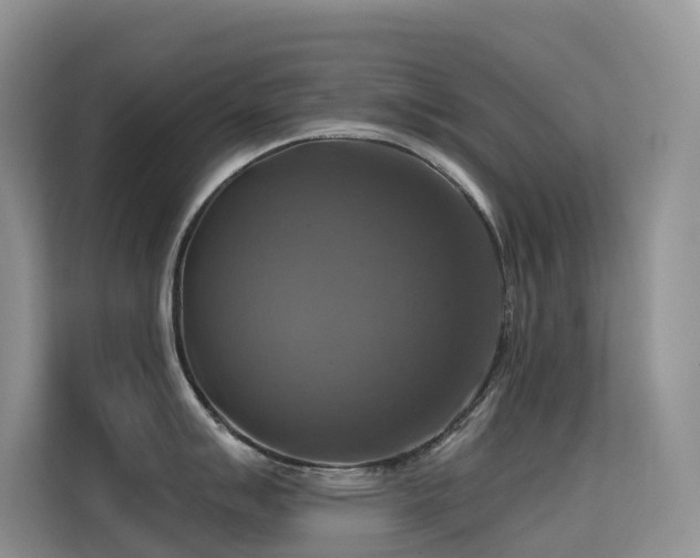 X0000114721007200910211343