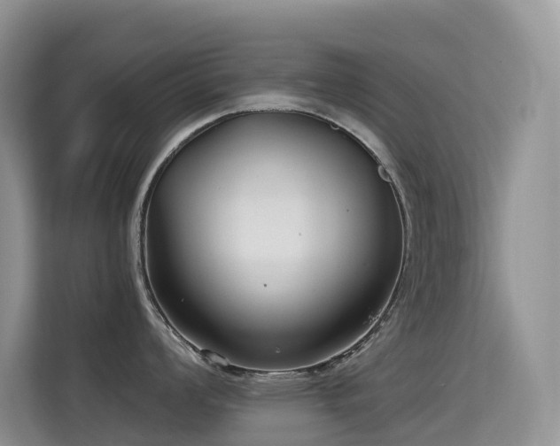 X0000114721008200910211343