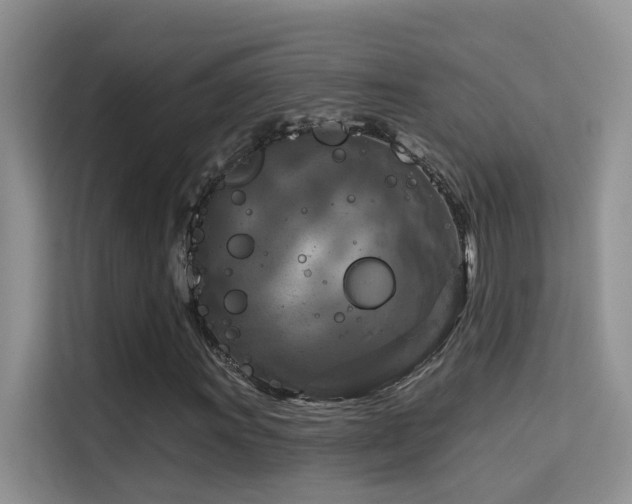 X0000114721011200910211343