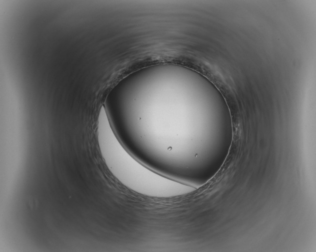 X0000114721012200910211343