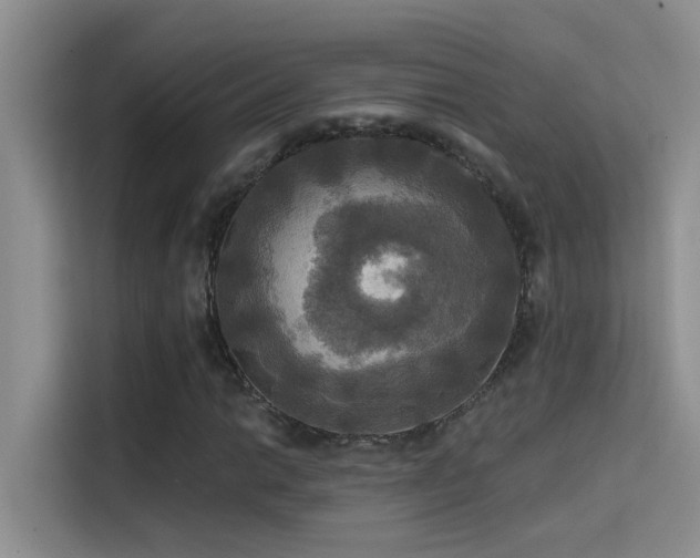 X0000114721014200910211343