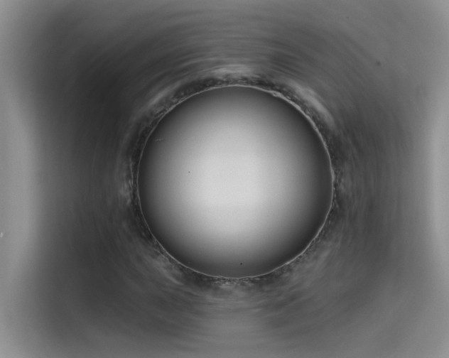 X0000114721015200910211343