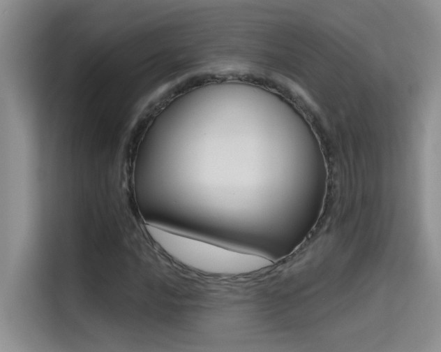 X0000114721016200910211343