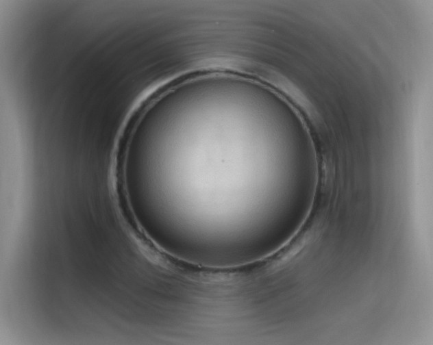 X0000114721020200910211343