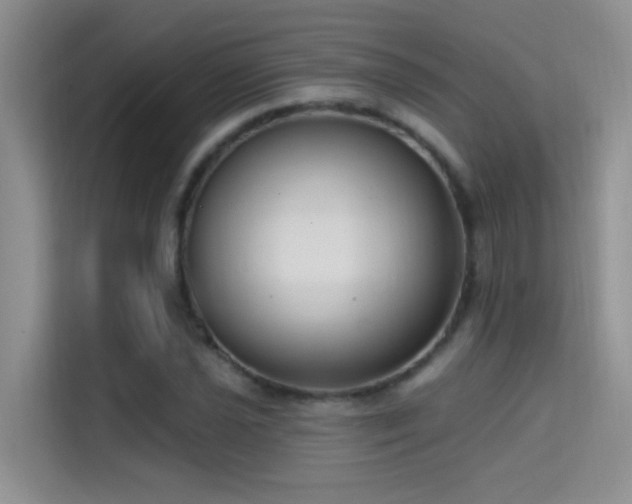 X0000114721021200910211343