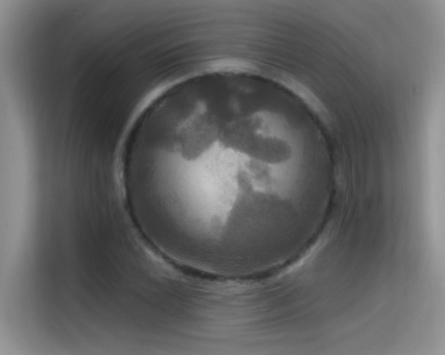 X0000114721022200910211343