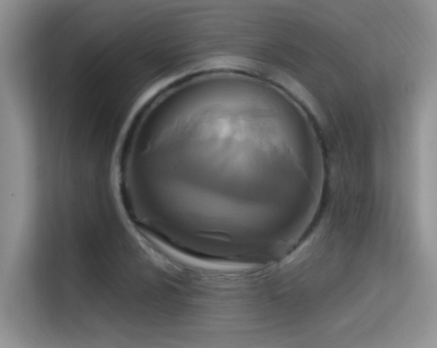 X0000114721024200910211343