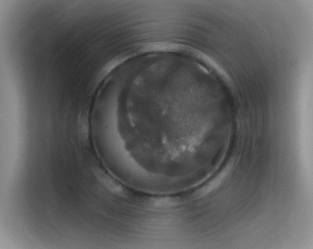 X0000114721025200910211343