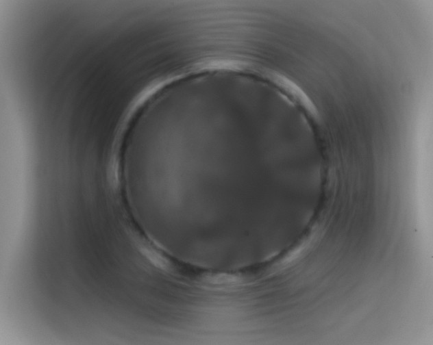 X0000114721027200910211343