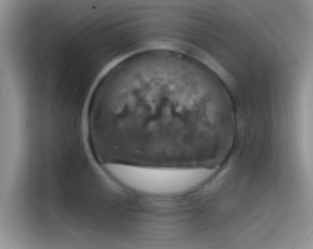 X0000114721028200910211343