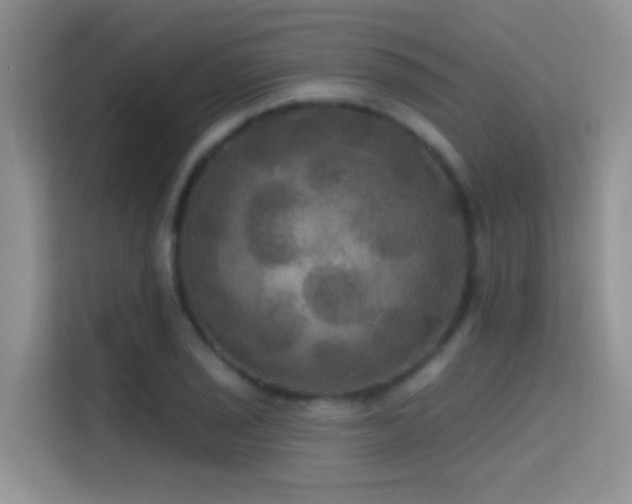 X0000114721029200910211343