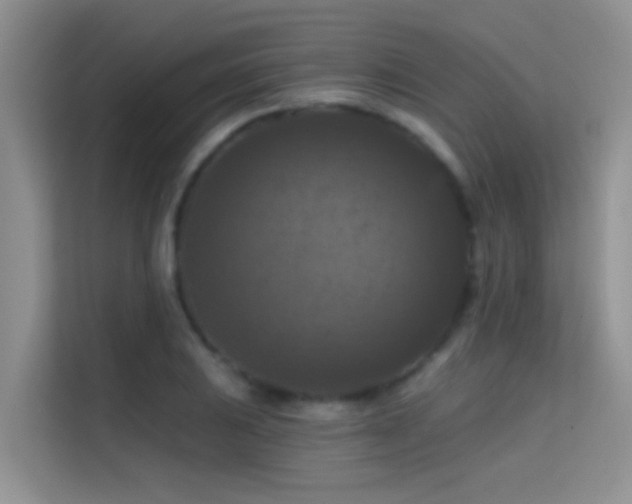 X0000114721031200910211343