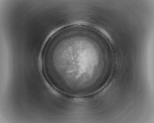 X0000114721032200910211343