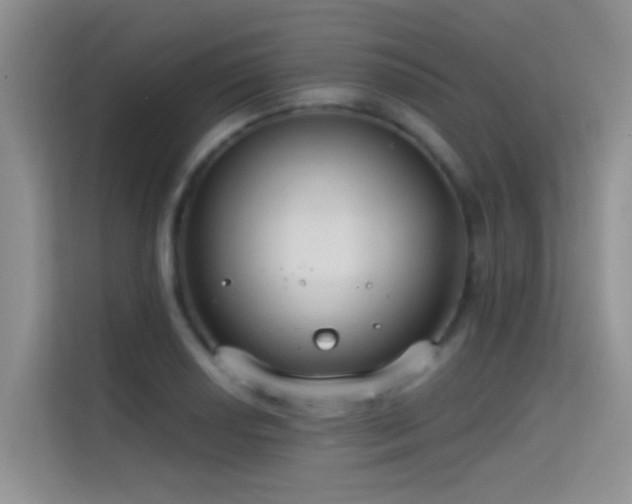 X0000114721034200910211343