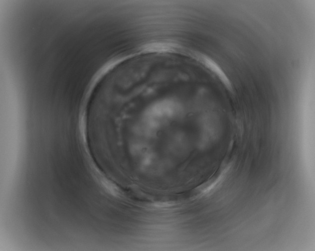 X0000114721035200910211343