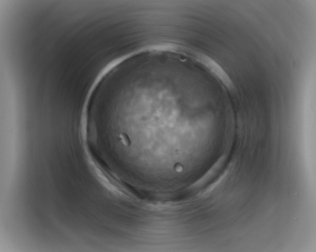 X0000114721036200910211343