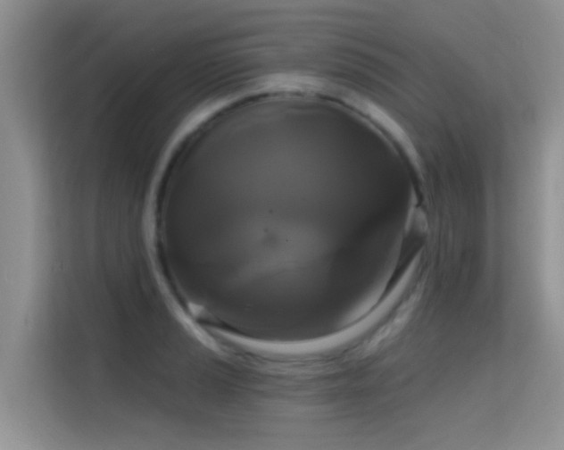 X0000114721037200910211343