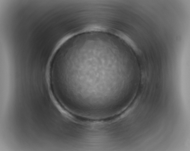 X0000114721038200910211343