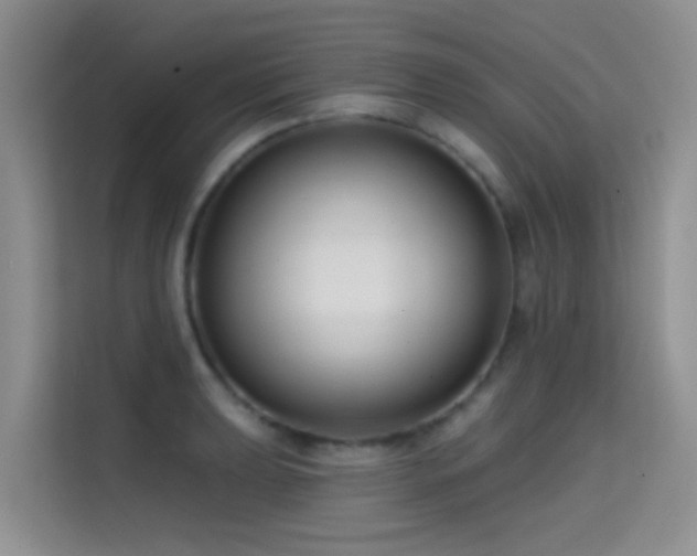 X0000114721039200910211343