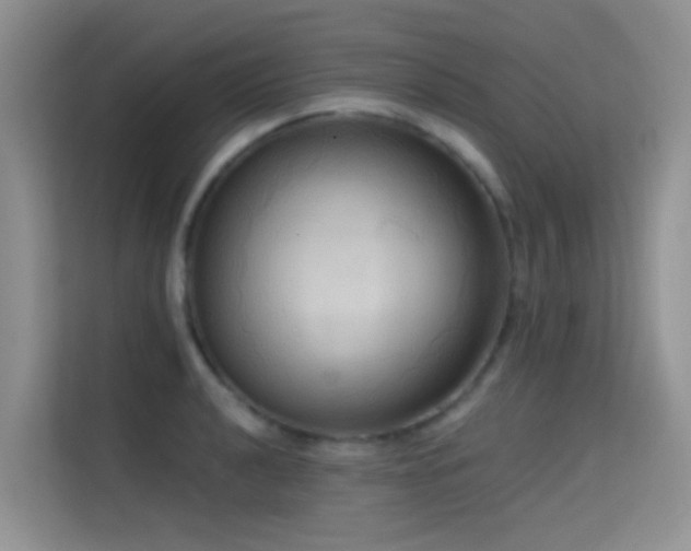 X0000114721040200910211343