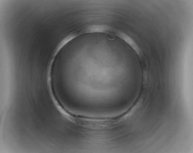 X0000114721042200910211343