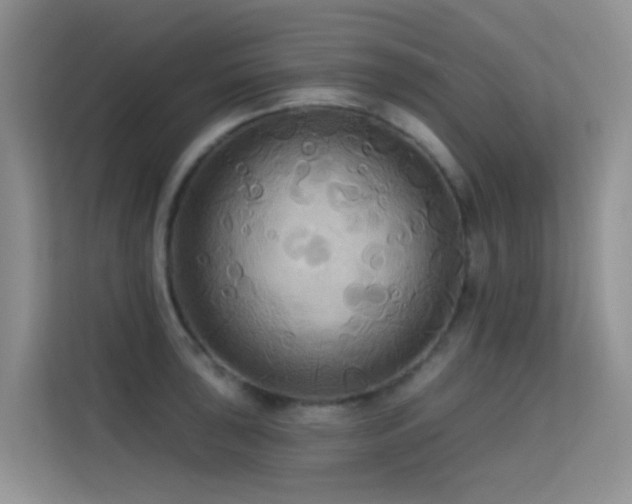 X0000114721043200910211343