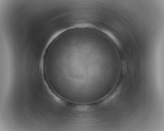 X0000114721046200910211343