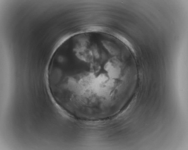 X0000114721047200910211343