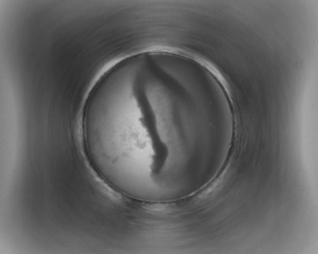 X0000114721048200910211343