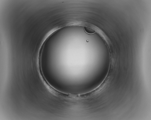 X0000114721050200910211343