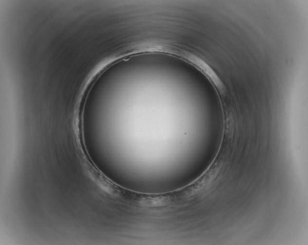 X0000114721051200910211343