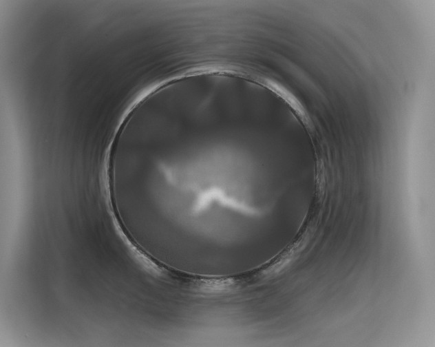 X0000114721055200910211343