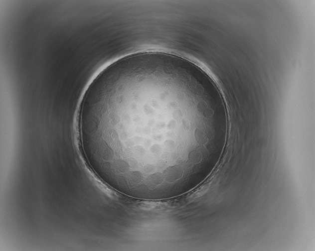 X0000114721056200910211343