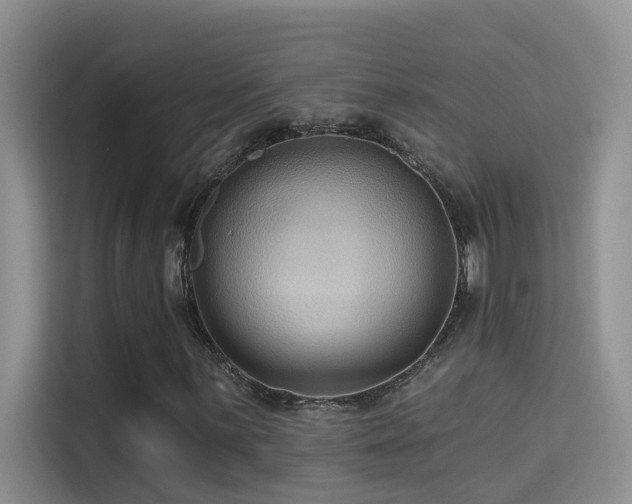 X0000114721059200910211343