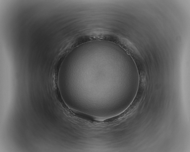 X0000114721060200910211343