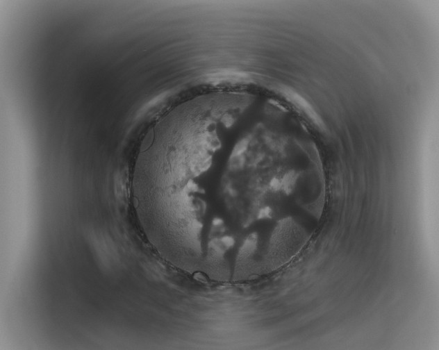 X0000114721063200910211342