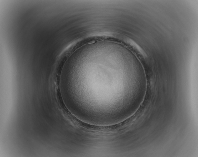 X0000114721064200910211342