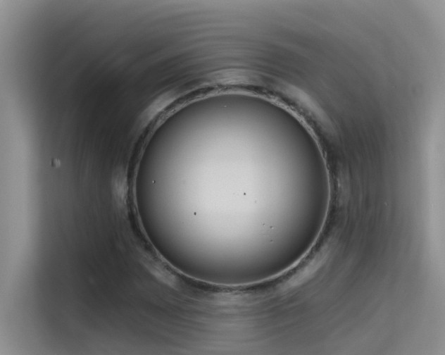 X0000114721065200910211342