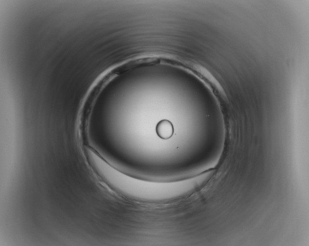 X0000114721068200910211342