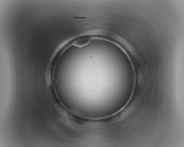 X0000114721069200910211342