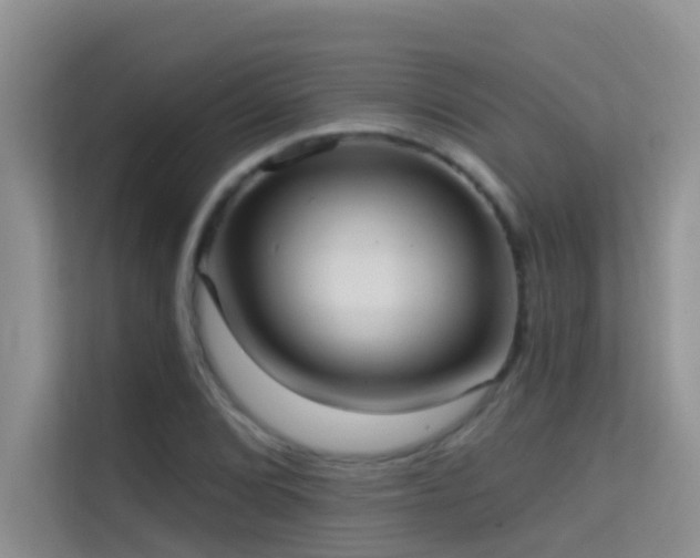 X0000114721072200910211342