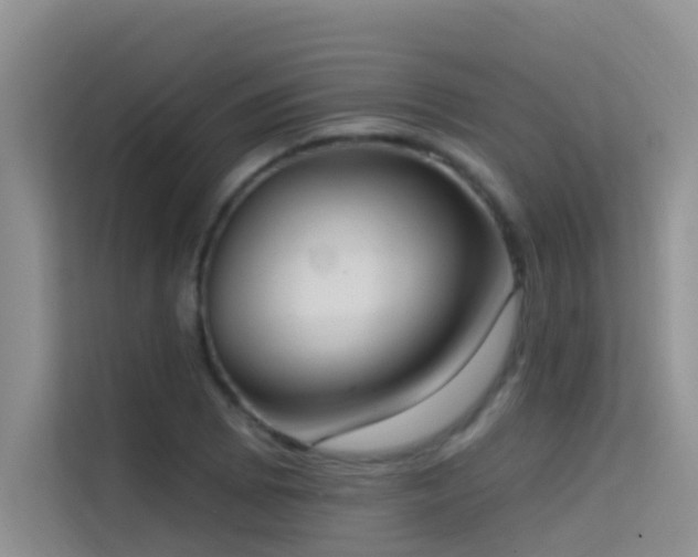 X0000114721073200910211342