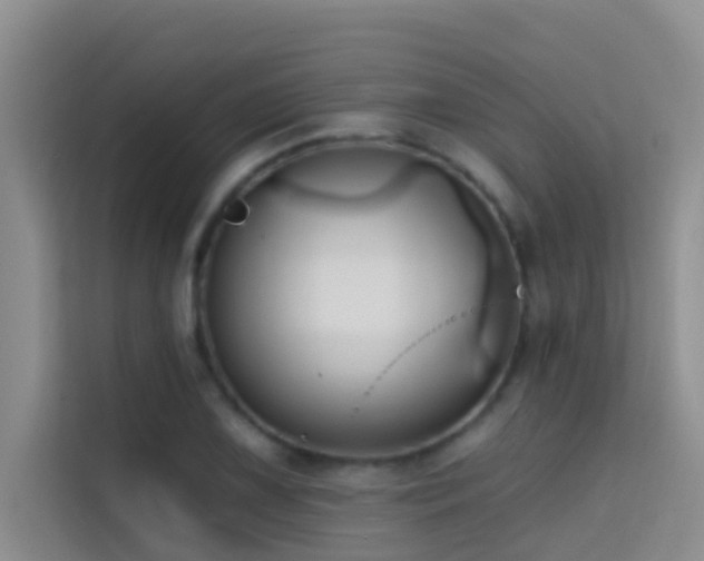 X0000114721075200910211342