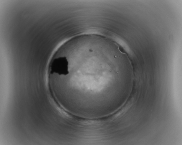 X0000114721076200910211342