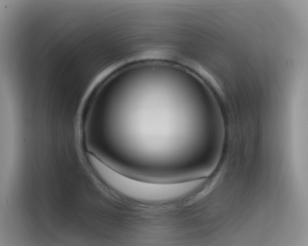 X0000114721077200910211342