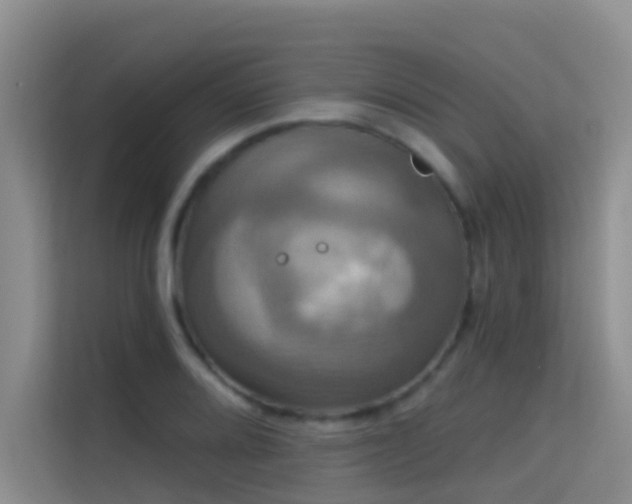 X0000114721080200910211342