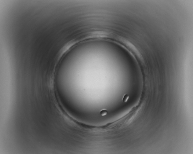 X0000114721081200910211342