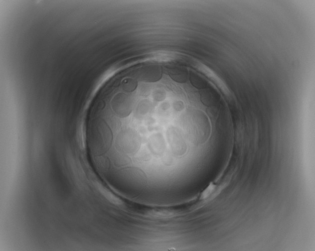 X0000114721083200910211342